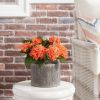 Pottery 6" Alexander Ceramic Planter, Brown