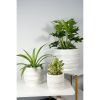 Pottery 6" Teramo Ceramic Planter, White