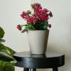 11 in. Beige Resin Self-Watering Planter